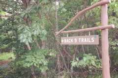 Bells-Trails-Fest-20190901b