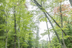 KML-Copper-Harbor-Trails-Fest-D2A2070-20210903