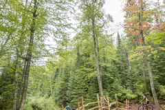 KML-Copper-Harbor-Trails-Fest-D2A2142-20210903
