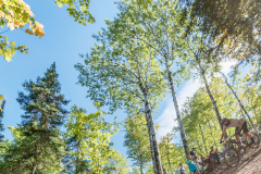 KML-Copper-Harbor-Trails-Fest-D2A1391-20220904