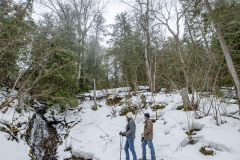 2023-UPDSF-Earth-Day-Interpretive-Hike-20230422-4D2A8494-web
