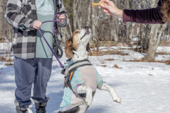 2024-Dawg-Daze-Recap-4D2A3299