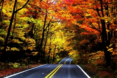 11-Fall-Color-US-41