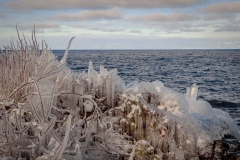 icy-shoreline