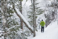 KML-Altai-Skiing-GuibertC-20210205c