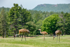 KML-Historic-Wilderness-Golf-Course-202408a