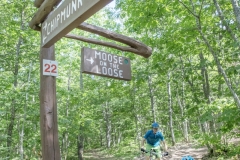 KML-Moose-Loose-Family-Bike-Guibert-201908
