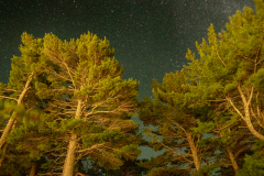 KML-OAC-Milky-Way-D2A9205-Guibert-20220729