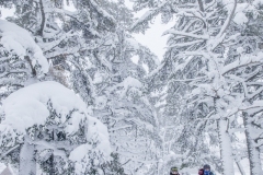 KML-Snowshoeing-GuibertC-20210214b